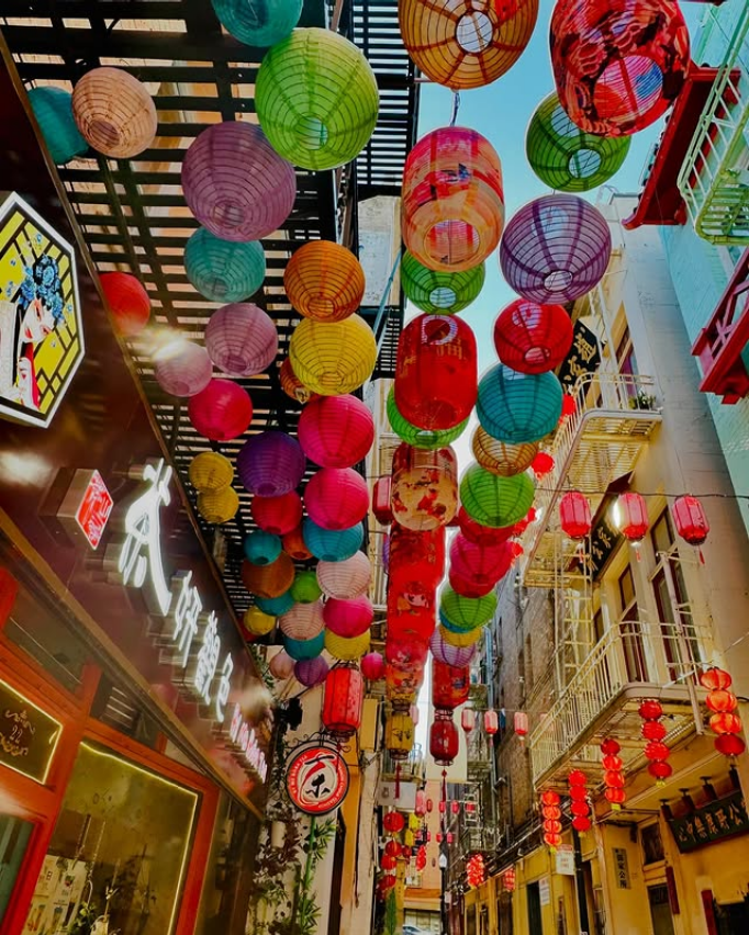 Day 2: Culture, Counterculture & City Views, San Francisco 