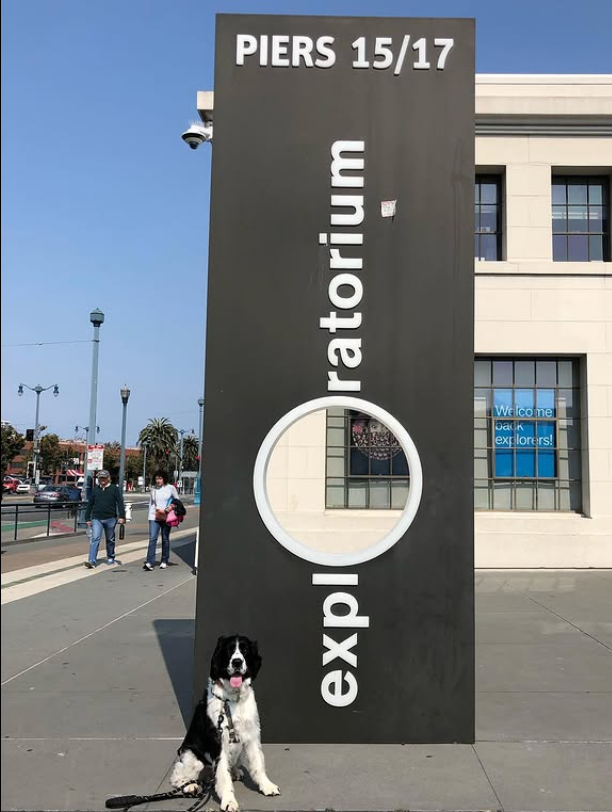 Exploratorium 