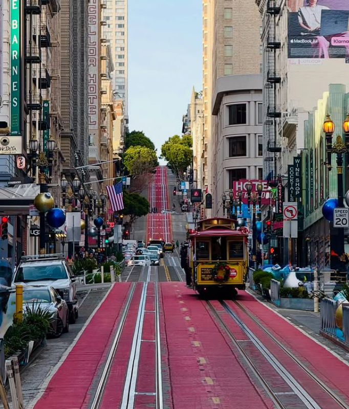 Day 5: Iconic Streets & Scenic Coastlines, San Francisco 