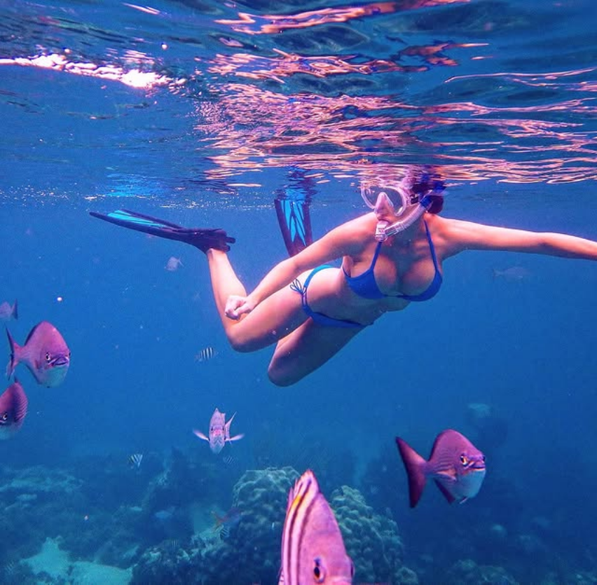 Snorkel