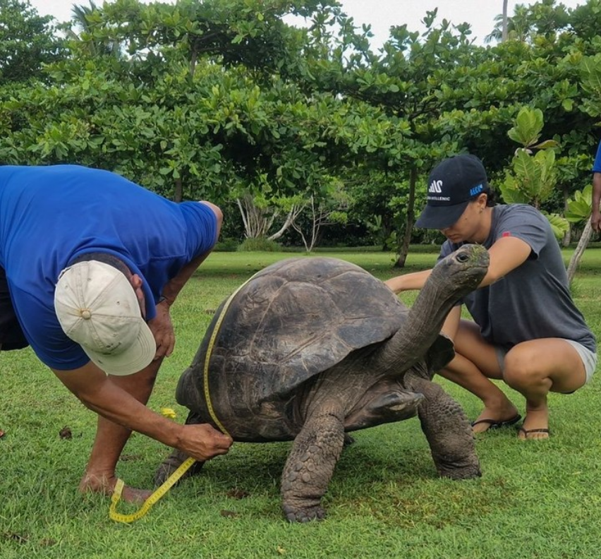 Aldabra
